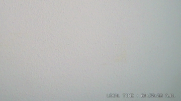 lanadelme 09-08-2021 Topless 